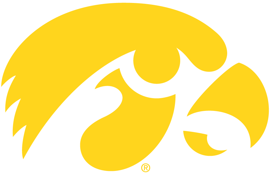 Iowa Hawkeyes 1979-Pres Alternate Logo v2 DTF decal stickers